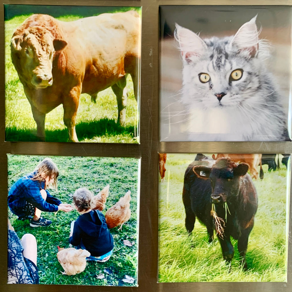 6 Pack - Custom Photo Magnets